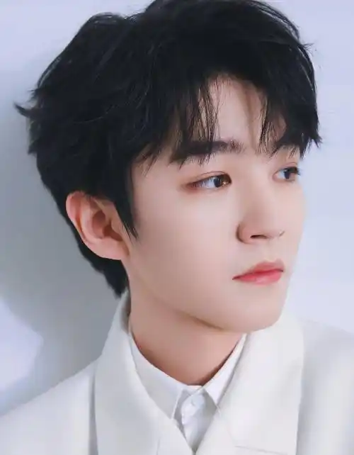 内娱有名的几位"双眼皮"男星,鹿晗的最标准,朱一龙龚俊精致_感觉_眼睛