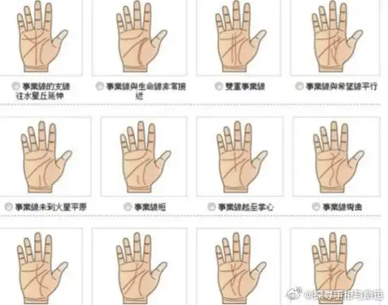 2,事业线起自于金星丘,早年能得到父母的庇护,一生为情欲所恋者,多为