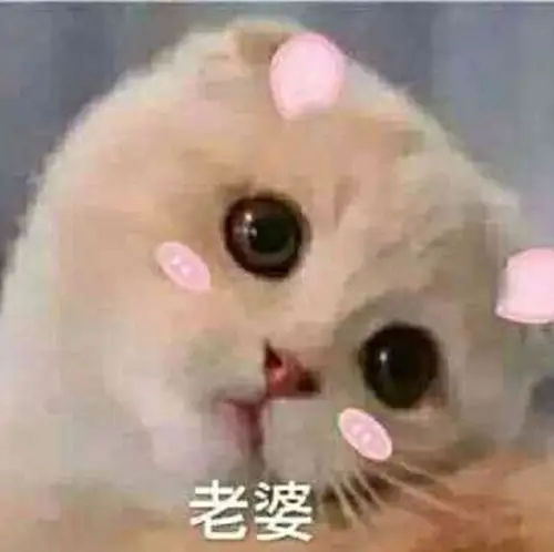 老婆! - 斗图表情包 - 斗图神器 - adoutu.com