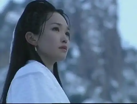 神雕侠侣小龙女范文芳