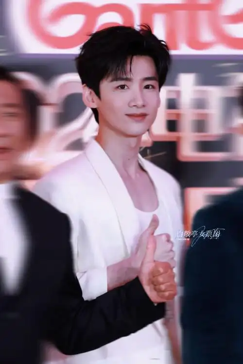 白敬亭南来北往##白敬亭年度突破表演剧星