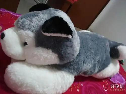 好大的狗熊呵呵