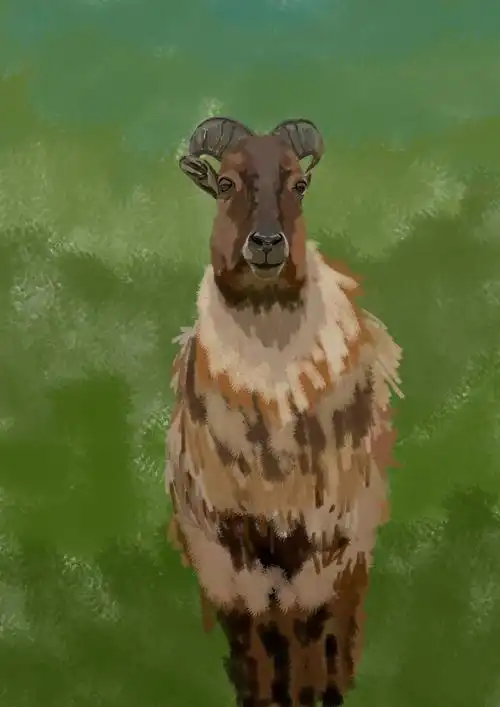 山羊|插画|创作习作|ch890601_原创作品-站酷(zcool)