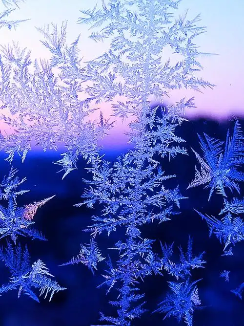 冬天窗户上的冰花,千姿百态!(三)