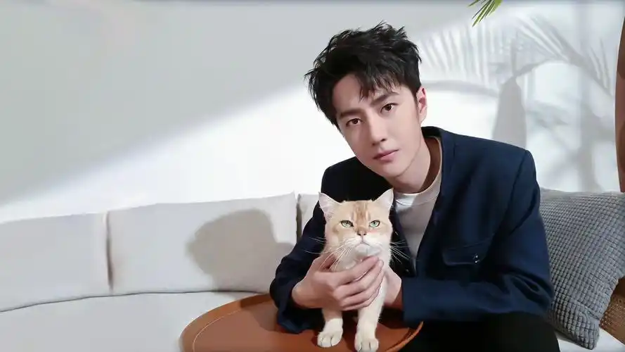 王一博(明星静态壁纸) - 静态壁纸下载 - 元气壁纸