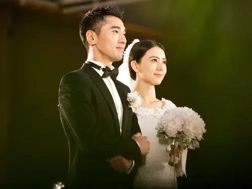 高圆圆壁纸图片