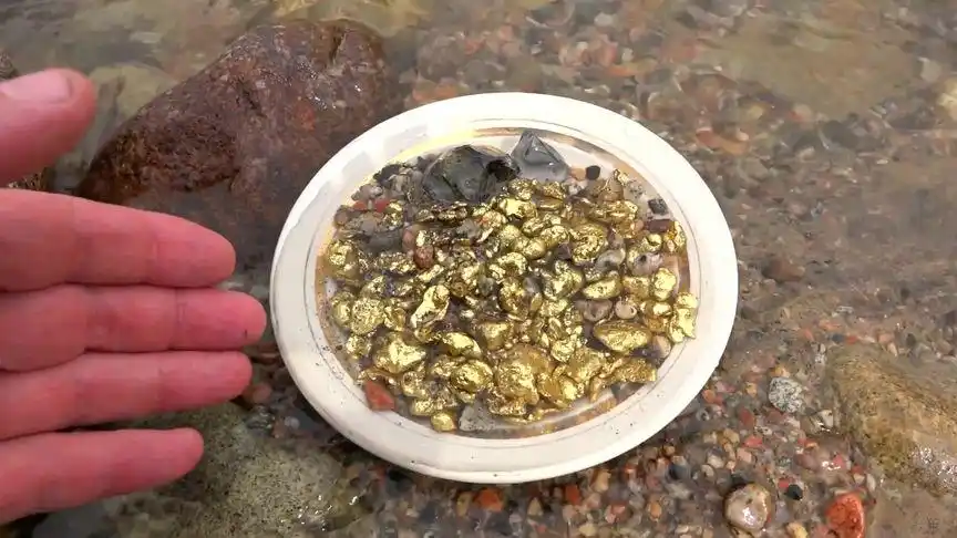 无人区河道探宝,一小时找到2kg天然黄金