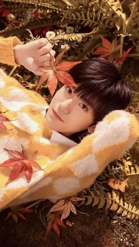 手机壁纸李天泽