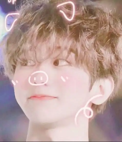 蔡徐坤超仙头像