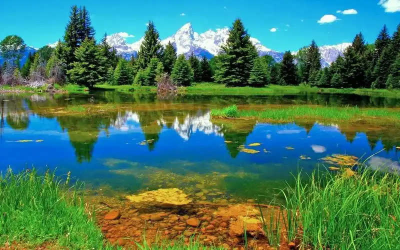 精选大自然唯美风景背景图片大全分享!-第2页-猴子技术宅