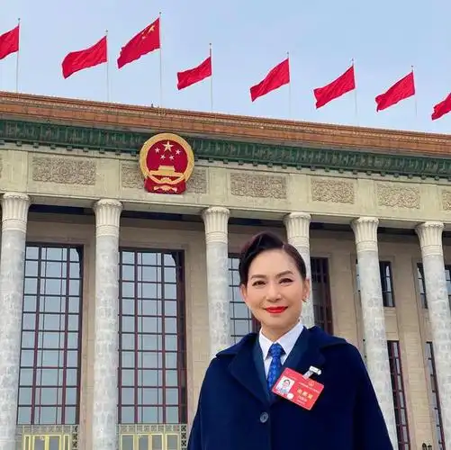 邝美云代表:进一步推动中华文化走出去