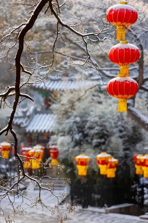 兔年雪景大片出炉~"雪打梅花"绝美!|白雪|长城_新浪新闻