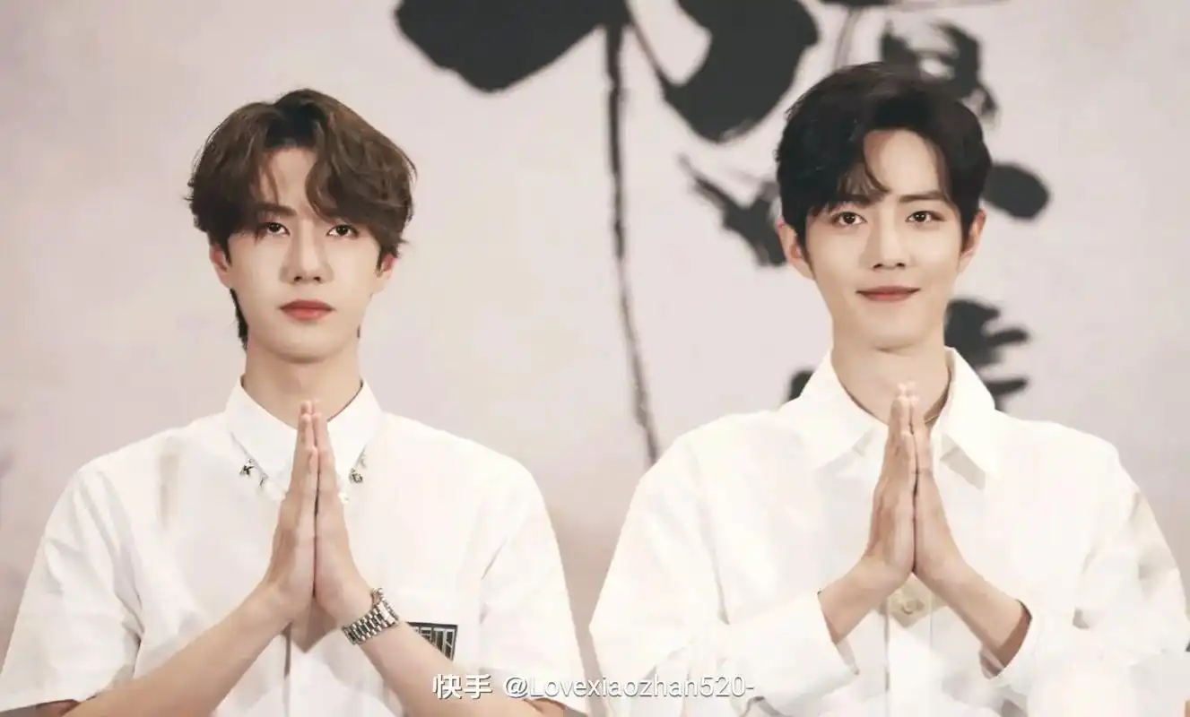 向全世界安利 #我的神仙爱豆 #宝藏男孩 #王一博 #肖战