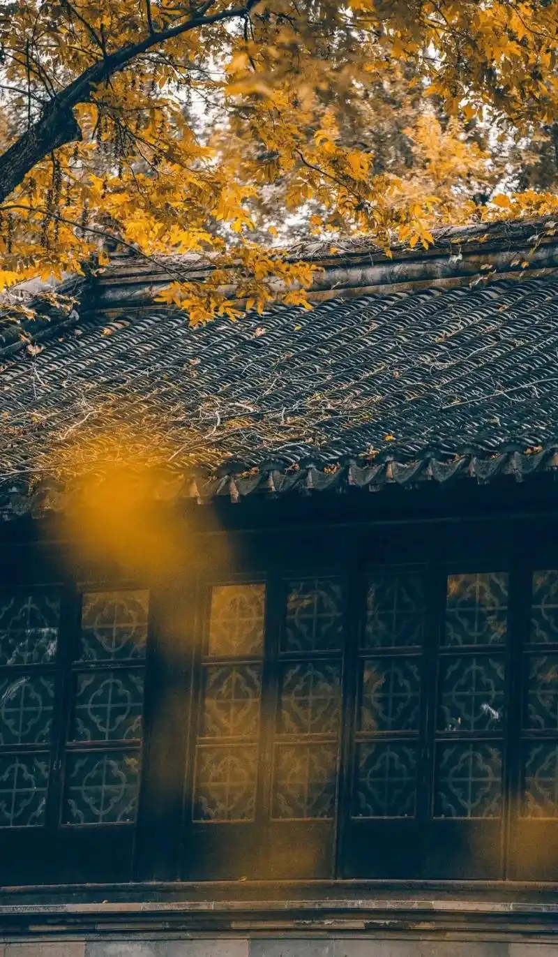最美的不是下雨天是曾与你躲过雨的屋檐