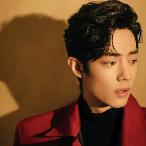 邻家学长肖战帅气头像