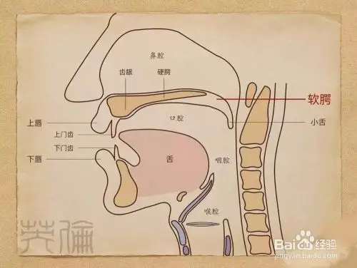 如何有效的发声使声音更加好听!