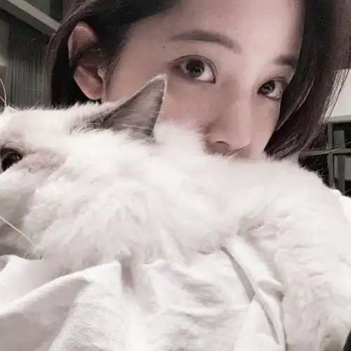 欧阳娜娜头像拿图点赞禁二改