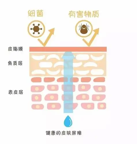 你还在伤害皮肤自身的保护屏障吗?快保护一下皮脂膜吧!