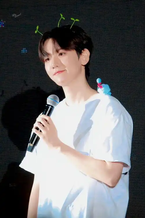 专辑要挟艺人,合约自动延期是靠97控制  36615边伯贤从来没说过