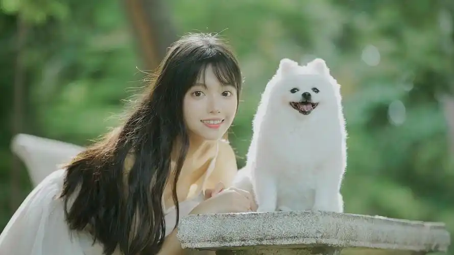 小清新森系美女写真高清壁纸