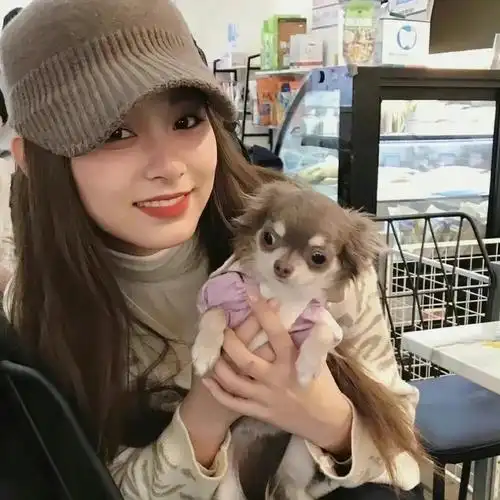 周子瑜 の 自拍 /图源见logo 676767侵删