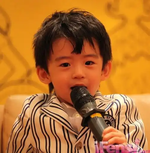 谢霆锋儿子lucas谢振轩个人资料照片