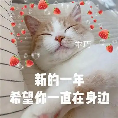 2021最新跨年可爱表情包 2021奔向新的生活