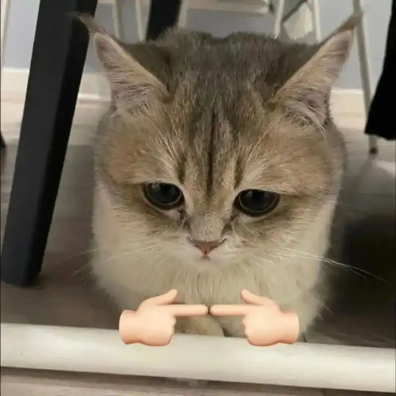 女生手指点你动图表情包 - 抖音