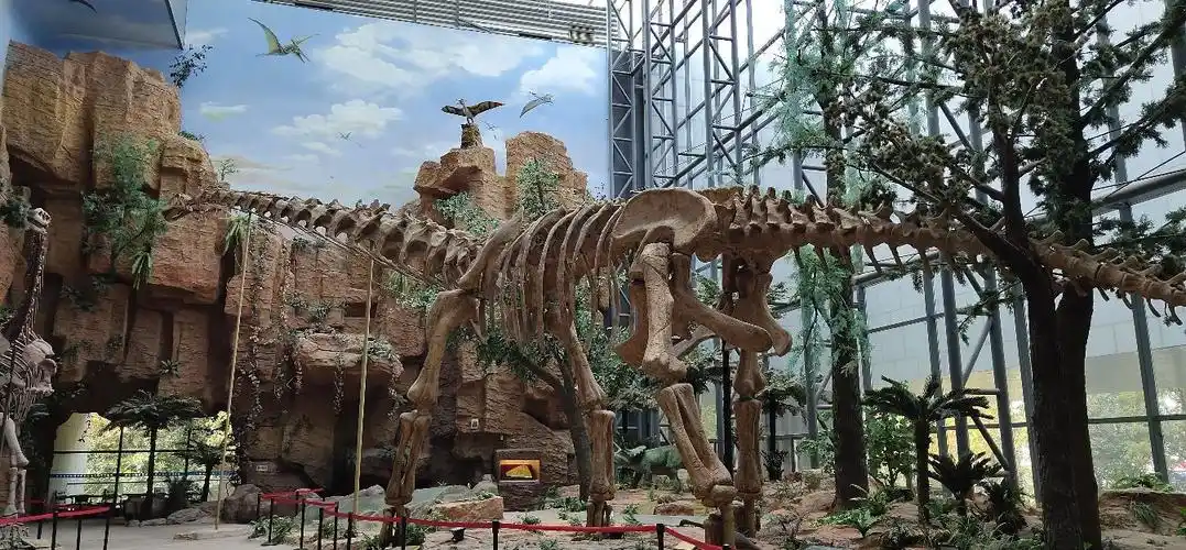 南京南京地质博物馆攻略,南京南京地质博物馆门票/游玩攻略/地址/图片