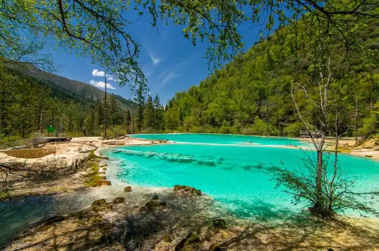 业旺财旺身体旺!