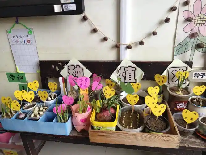 小角落 大自然——青岛九联幼儿园自然角环创评比活动