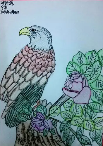 冯诗源9岁《鹰》佳越美术李老师