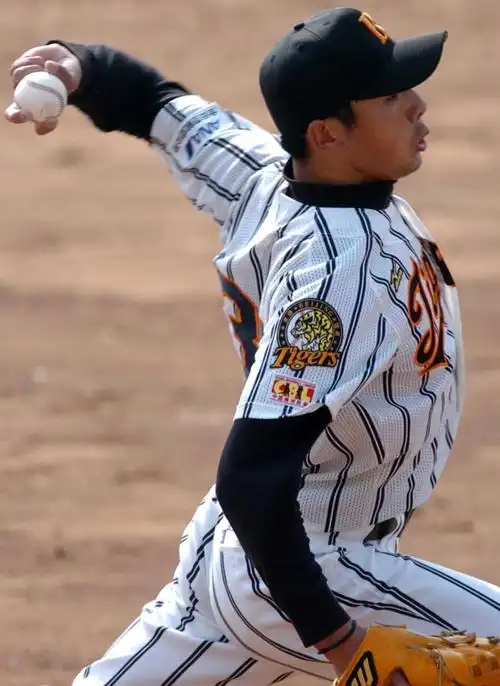 北京猛虎队获中国棒球联赛亚军 江苏天马队逆转夺魁