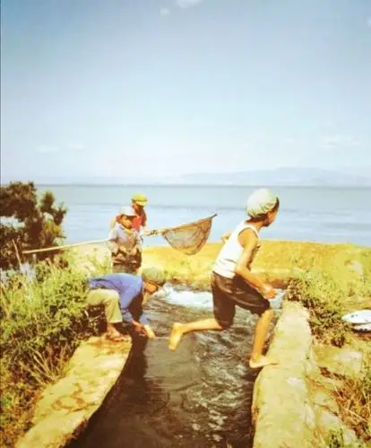 70后的50年回忆童年