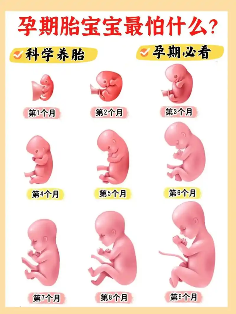 孕期胎宝宝每月怕什么71科学养胎73拒绝焦虑.