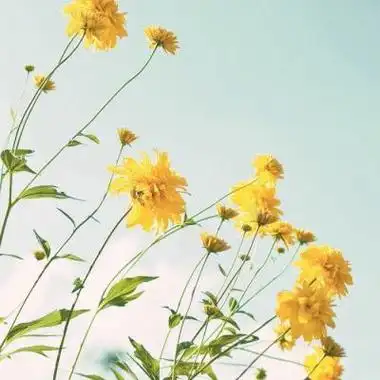 高清好运能聚财女人专用头像图片