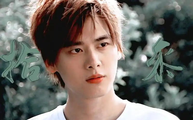 【李易峰】●○ 20201215●○〇◎李易峰出道拾叁周年贺 ◎〇‖ 所念