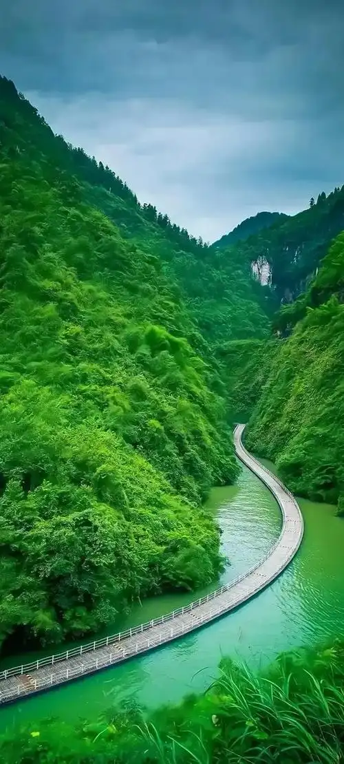 壁纸 | 高清养眼绿色壁纸,熬夜党看过来