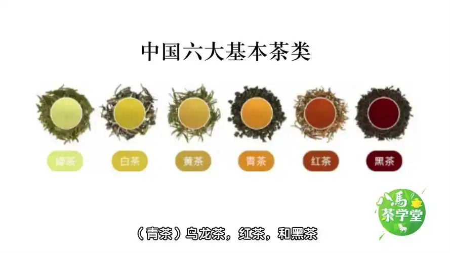 八马茶学堂:你所不知的中国六大基本茶类,茶叶的分类_哔哩哔哩 (゜-゜