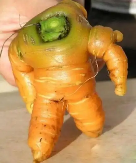 重口味及搞笑图片