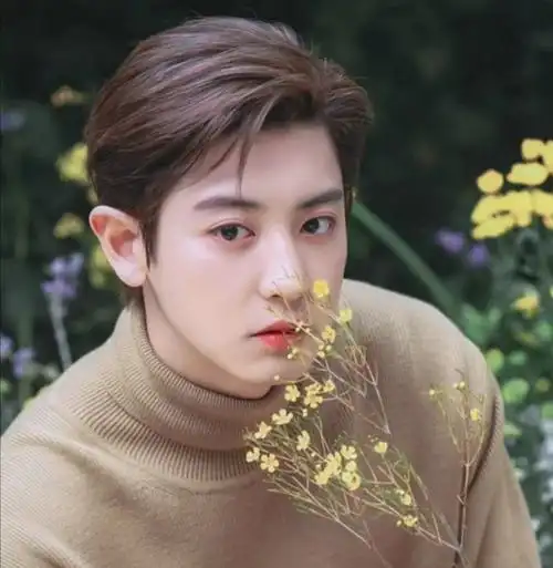 有没有关于朴灿烈的神图? - 知乎