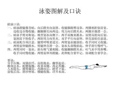 四种游泳姿势图解及口诀ppt