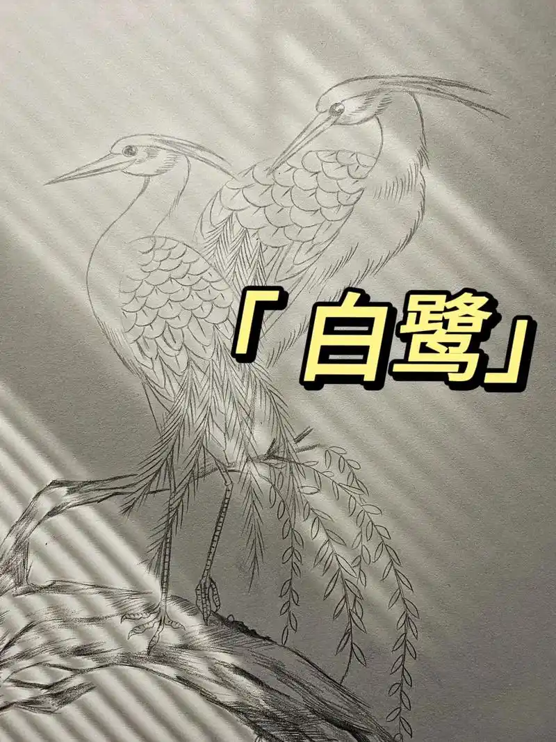 白鹭.#创作灵感 #画画 #简笔画 #手绘 #图文来了 - 抖音