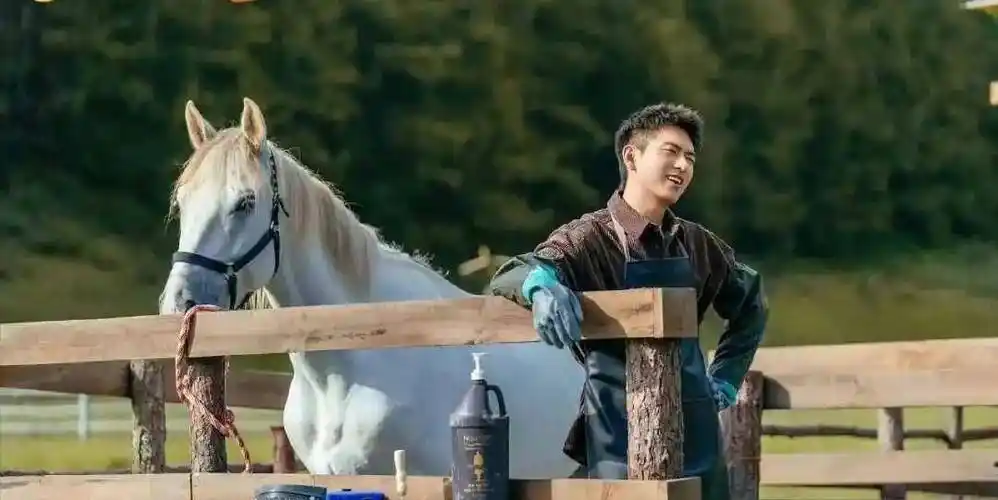 这次二搭李现给了答案_邓伦_罗云熙_网友