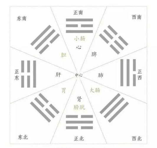 后天八卦与脏腑关系 - 草稿