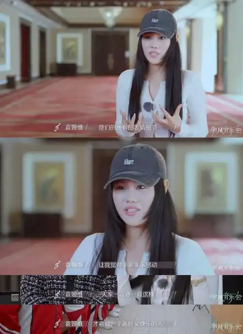 袁娅维录综艺哭了