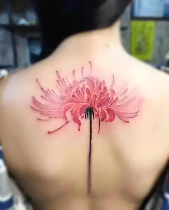 彼岸花开.#彼岸花 彼岸花开胸口纹,从此不爱任何人 彼岸花开 - 抖音