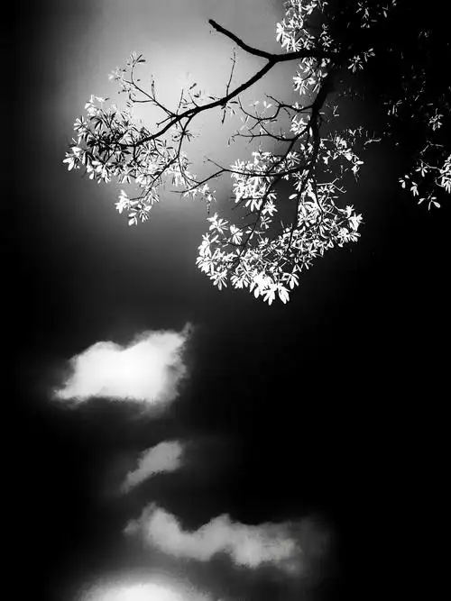 黑白灰 —— 静谧 简洁 唯美