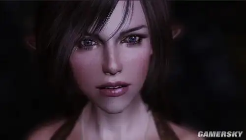 上古卷轴5最新捏脸图美到窒息的精致面容