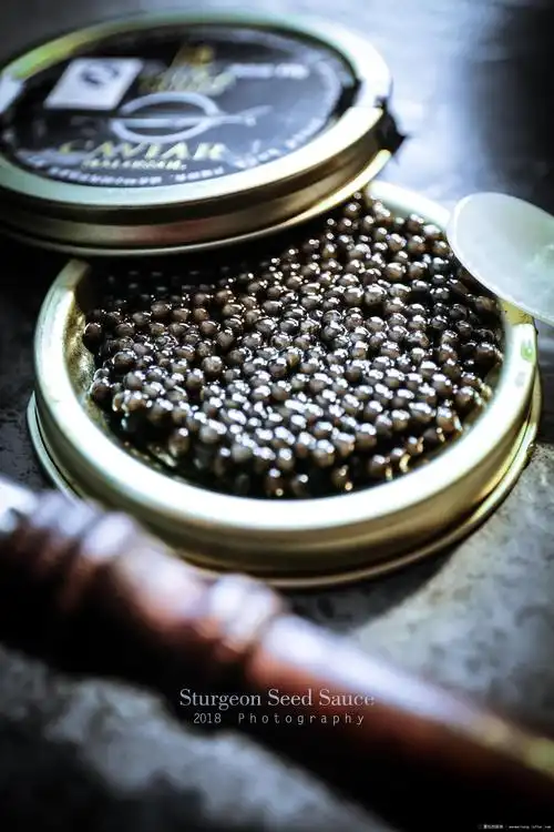 鲟鱼籽酱,尝一尝